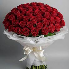 Букет 101 Красная роза Блэк Мэджик в Ульяновске