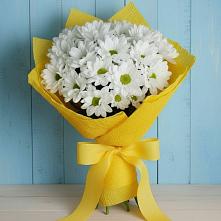 Букет цветов из:  Хризантемы в Ульяновске