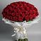101 Красная роза Блэк Мэджик в Ульяновске Букет 101 Красная роза Блэк Мэджик в Ульяновске