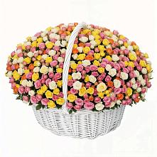 Премиум букет из: Розы в Ульяновске