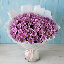Букет сиреневая охапка в Ульяновске Букет цветов из:  Хризантемы в Ульяновске