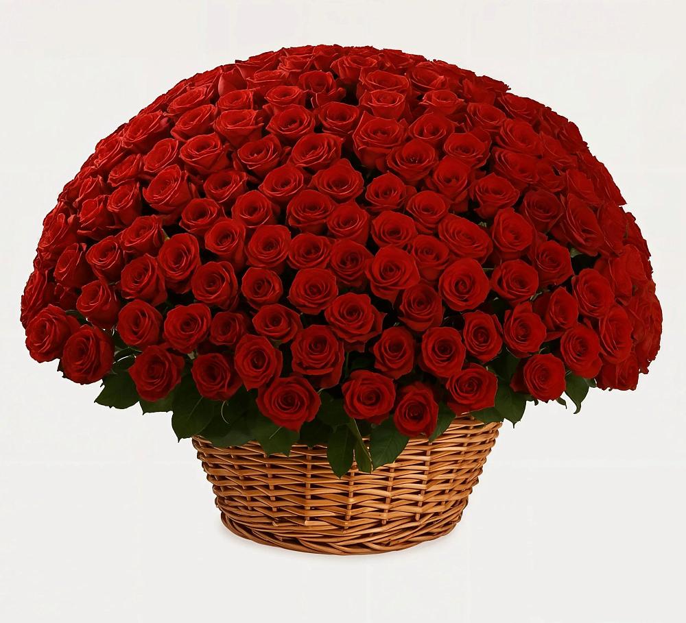 Премиум букет из: Розы в Ульяновске