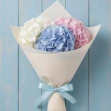 Букет Нежная гортензия в Ульяновске Букет цветов из:  Гортензия в Ульяновске