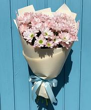 Букет Розовые хризантемы в Ульяновске Букет цветов из:  Хризантемы в Ульяновске