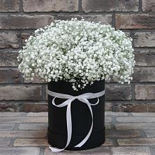 Цветочная композиция из Гипсофила в шляпной коробке в Ульяновске